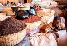 África em Conto: “Mininus lutadur 2”, por Bernardo Intipe