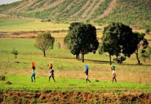 África em Verso: “Resistência da mãe”