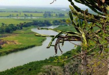 África em Conto: Nascente do Kwanza