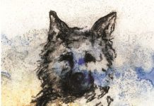 Editora publica obra inédita no Brasil do escritor angolano Pepetela