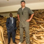 Yao diante de milhares de presas de marfim apreendidas – Kristian Schmidt – Wild Aid