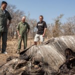 Yao Ming diante de uma carcaça de rinoceronte  – Kristian Schmidt – Wild Aid