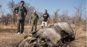 Yao Ming diante de uma carcaça de rinoceronte  - Kristian Schmidt - Wild Aid 