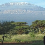 Andre – Kilimanjaro