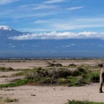 Kilimanjaro – Leitor-repórter Andre Araujo – Quênia