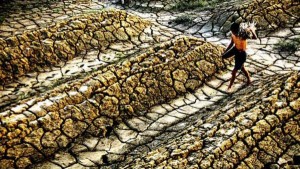 Ecossistemas degradados pelas terras secas colocam em risco o bem estar social de milhões de pessoas. Foto: PNUMA/Thien Anh Huynh