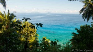Vista da trilha na Ilha Frégate - Foto: Tatiana Raposo