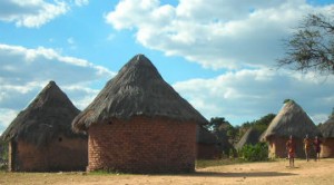 Cenário da área rural do Zimbabue - Divulgação
