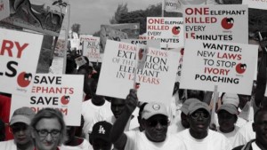 Marcha em Arusha, Tanzânia - Foto: Adam Woodhams