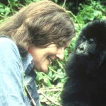 Foto de Dian Fossey Gorilla Fund International