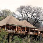 Londolozi Game Reserve, Kruger National Park Area , África do Sul