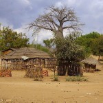 Registro da leitora Maria José da Silva – Moçambique