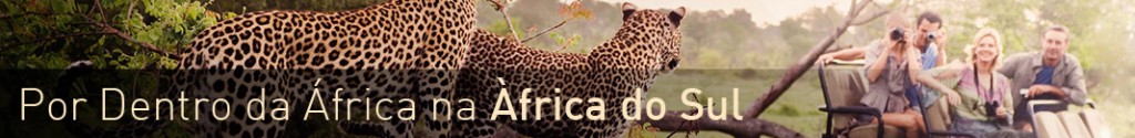 banner-super-africadosul