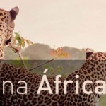 Por Dentro da África – LATAM