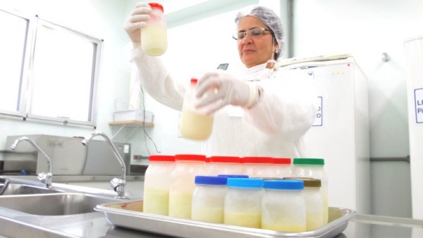 Profissional de saúde avalia as amostras de leite humano da Central de Banco de Leite. Foto: Banco de Leite Humano