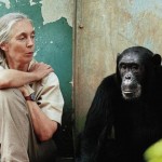 dr-jane-goodall-and-freud