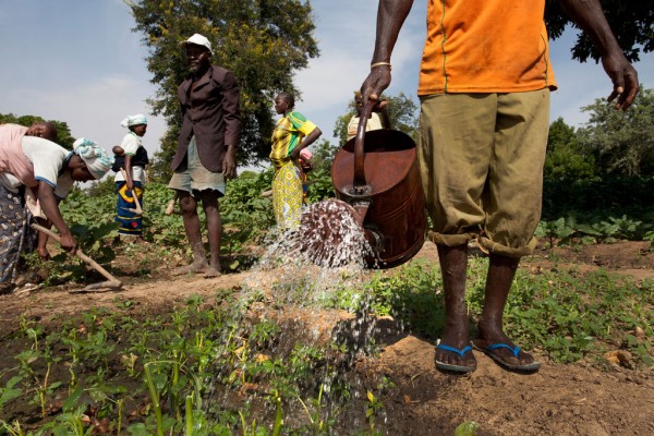 Membros de cooperativa agrícola em Burkina Faso. Foto: Dominic Chavez/Banco Mundial