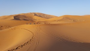 Passeios no deserto são cada vez mais comuns entre os turistas. Há opções para dormir no deserto para todos os gostos