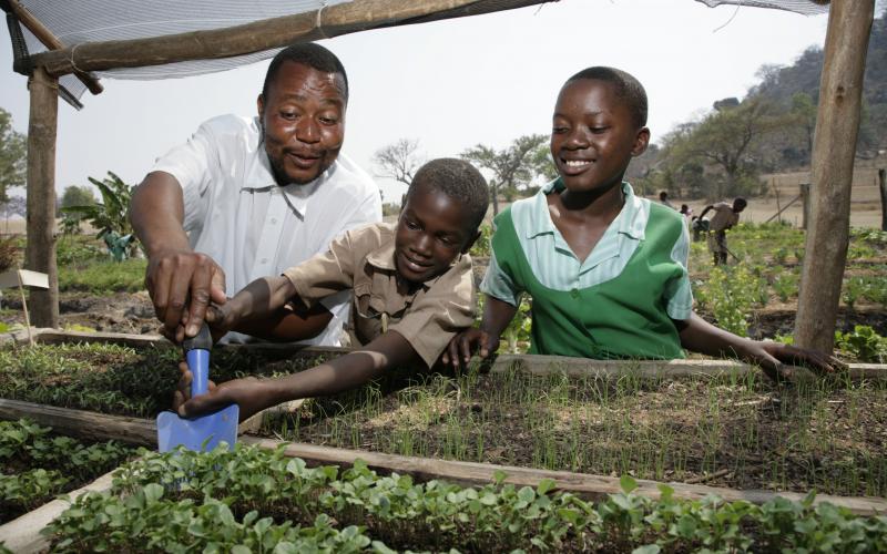 Zimbabwe - Enhancing food security through empowerment of schools