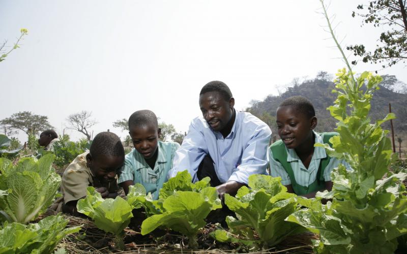 Zimbabwe - Enhancing food security through empowerment of school - UN