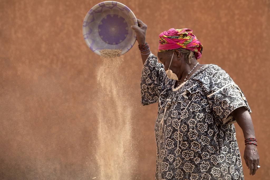 29 February 2016, Niamey, Niger - A woman cleaning Ovalifolia Moringa seeds at Centre National de Semences Forestières (CNSF).FAO project GCP/INT/157/EC: Action Against Deserti­fication is an initiative of the African, Caribbean and Pacifi­c Group of States (ACP) to promote sustainable land management and restore drylands and degraded lands in Africa, the Caribbean and the Pacifi­c, implemented by FAO and partners with funding from the European Union in the framework of the 10th European Development Fund (EDF). 