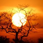 South-African-Game-Reserves-Kruger-National-Park-Sunset-Skukuza1