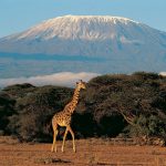 Mount Kilimanjaro, Tanzania – Mount Kilimanjaro, Tanzania. Digital Vision/Thinkstock